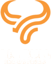 logo-bigbull-white