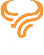 logo-bigbull-white